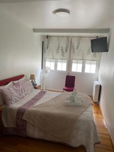 Apartamento próximo a la catedral