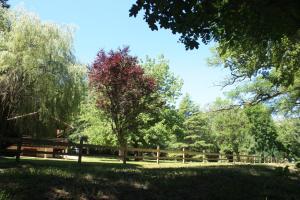 Chalets Le Chalet des Berges - Piscine chauffee & Ponton Prive - En bordure de la riviere Aveyron : photos des chambres
