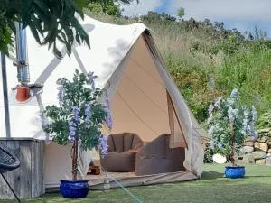 Fairy Fort at Rosemount Glamping - Ardtully
