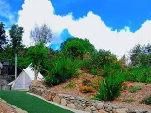 Fairy Cove at Rosemount Glamping - Ardtully