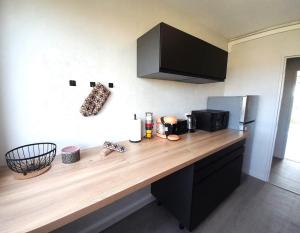 Appartements Ravissant appart-2chb-3 lits-wifi : photos des chambres