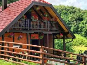 Brvnara Sofiana - Zaugline