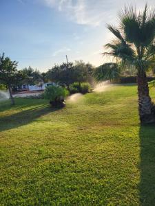 Villa con piscina - Alghero - “VILLA ELENA” img44