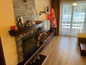 Green life Bansko -view one bedroom apartment