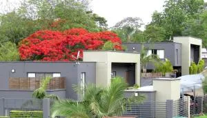 The Executive - Exclusive Self-Catering Apartments - Ezulwini - Nkanni