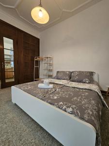 Apartment Vila Husova