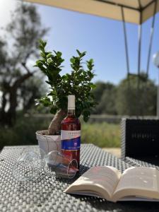 Villa Exclusive Pescoluse by Salento Prime