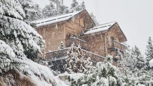 Chalets Luxueux chalet avec terrasse Auron : photos des chambres