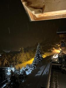 Chalets Luxueux chalet avec terrasse Auron : photos des chambres