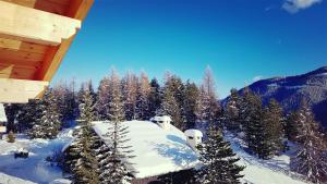 Chalets Luxueux chalet avec terrasse Auron : photos des chambres