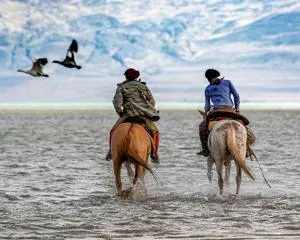 El Galpón del Glaciar - 百内三塔
