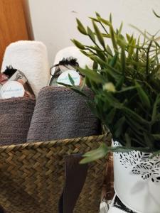 Evaggelias Apartments 1 Διαμονή στο κέντρο