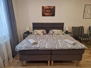 Černá Růže- apartmán 2 - Božkov