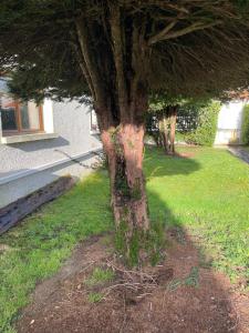 Appartement Lumières