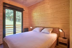 Chalet du Planolet