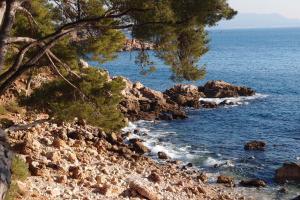 Appartements Au coeur de la ville : photos des chambres