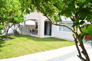 Aegean Dreams Studio Palio