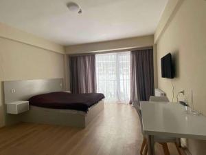 Bakuriani Oasis WINDOW DEVELOPMENT 2