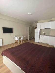 Bakuriani Oasis WINDOW DEVELOPMENT 2