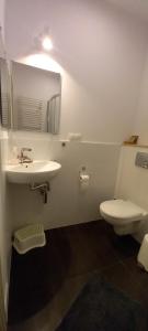 Nowy Dwór w Goszycach