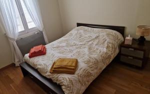Appartements Thiais large apartment near ORLY PARIS 4 a 6 personnes : photos des chambres