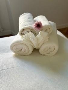 Bright House appartamento Roma