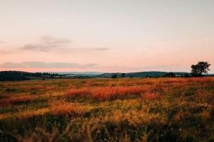 Unique Stay! Ricketts Chic Farmhouse Retreat with Stargazing Bubble Tent