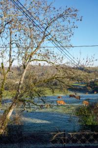 Sejours a la campagne Magnone Vacance - Gite Le Petit Ruisseau : photos des chambres