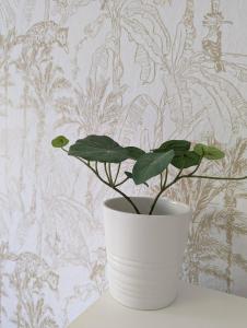 Family house with roof terrace