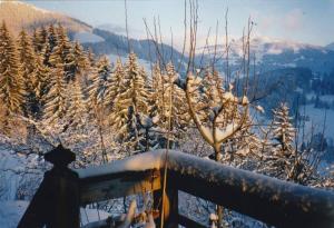 Gstaad Paradise View Chalet with Jacuzzi