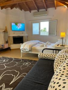 Pool Guesthouse