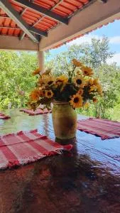 CANTINHO DA ROSA ac - RIO PRIVATIVO - Arrayas