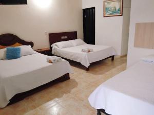 HOTEL VILLA CAMPESTRE AVENTUREROS