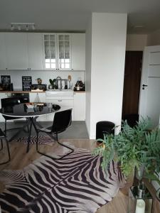 Apartament City Center Kraków