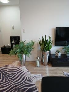 Apartament City Center Kraków