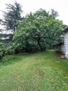 Maisons de vacances Le corps de Ferme et la Grange a Chassagne : photos des chambres