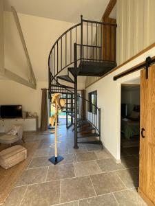 Maisons de vacances Le corps de Ferme et la Grange a Chassagne : photos des chambres