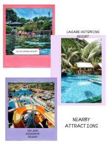 Camella gensan transient