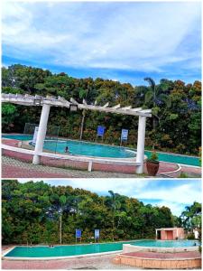 Camella gensan transient