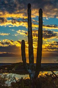 CASA DE ALOHA cozy 2-bedroom, 2 bathrooms Home