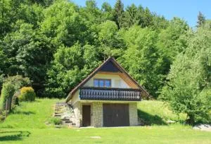 Chata u lesa - Vigantice