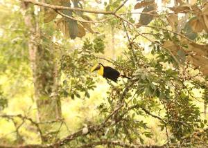 Rincón Sereno San Carlos