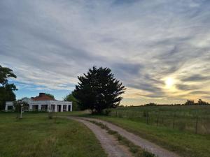 San Ignacio cattle farm Magdalena Buenos Aires