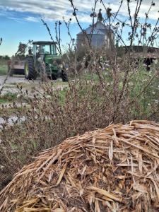 San Ignacio cattle farm Magdalena Buenos Aires