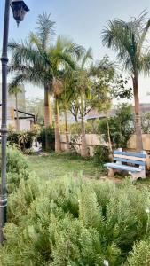 ZenRoofs- Homely 2BHK Apartment