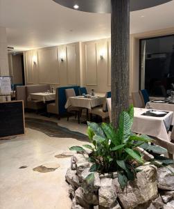 Hotels Hotel La Vinaigrerie LOGIS : photos des chambres
