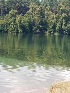 Dom letniskowy nad jeziorem Wigry Staw Suwalszczyzna