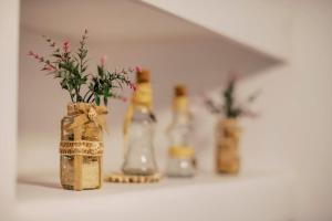 Noras ixia summer house