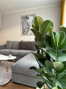 GiorgiaTerrasedHouse - Kaiavere