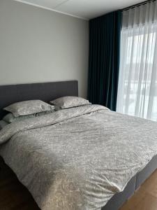 GiorgiaTerrasedHouse